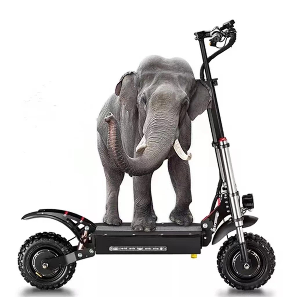 RS7 Elektrische step