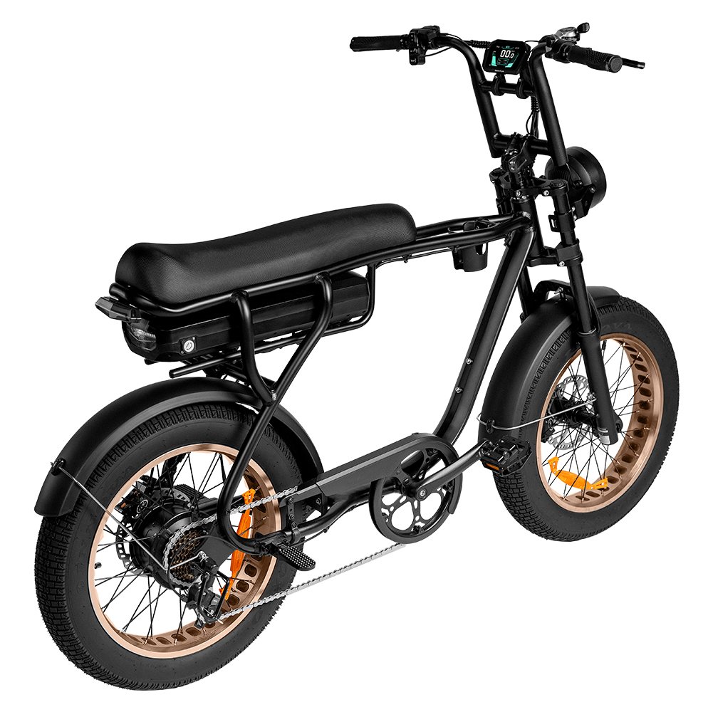 EB20 fatbike - Afbeelding 14